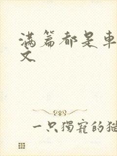 满篇都是车的古文