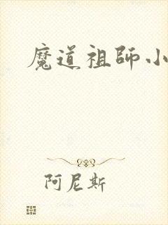 魔道祖师小说封面