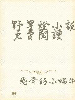 野星灯小说全文免费阅读