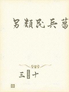 另类民兵葛二蛋封面