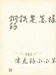 钢铁是怎样练成的封面