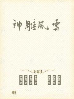 神雕风云