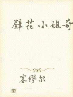 壁花小姐奇遇记