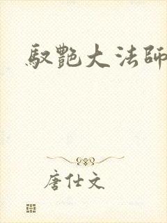 驭艳大法师封面