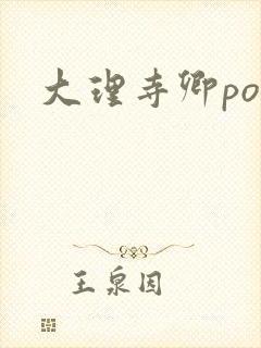 大理寺卿po