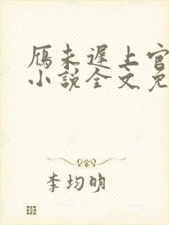 雁未迟上官穿越小说全文免费阅读封面