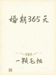 婚期365天封面