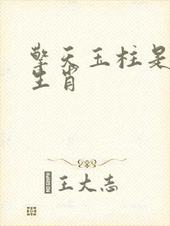 擎天玉柱是什么生肖