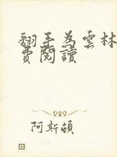 翻手为云林云免费阅读封面