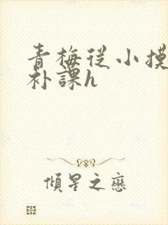 青梅从小摸到大补课h