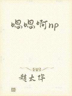 嗯嗯啊np