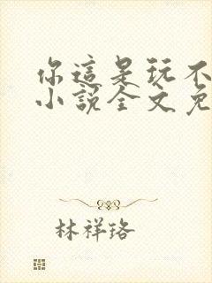 你这是玩不起呀小说全文免费阅读封面
