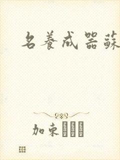 名养成器苏沫沫