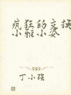 疯狂的交换小静小雅小姿