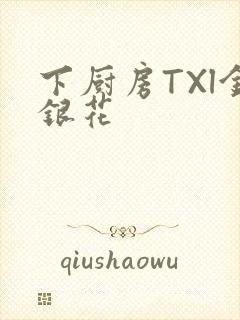 下厨房TXl金银花