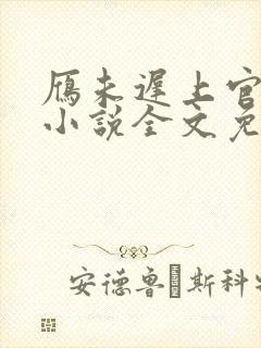 雁未迟上官穿越小说全文免费阅读