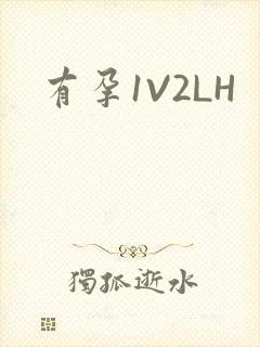 有孕1V2LH