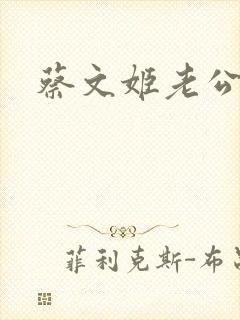 蔡文姬老公