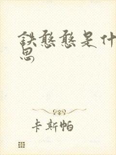 铁憨憨是什么意思