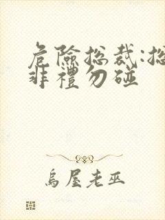 危险总裁:总裁非礼勿碰