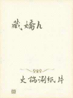 藏娇h封面