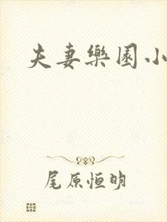 夫妻乐园小说封面
