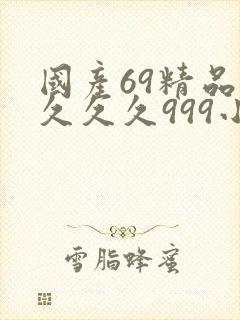 国产69精品久久久久999小说