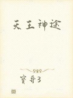 天王神途