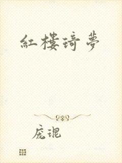 红楼琦梦