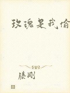 玫瑰是我偷的
