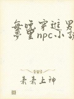 每晚穿进男神的梦里npc小说