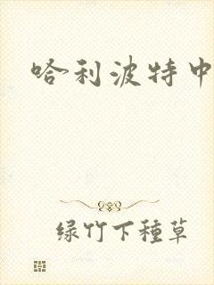哈利波特中文版