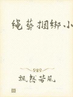 绳艺捆绑小说
