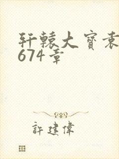 轩辕大宝袁雪妃674章