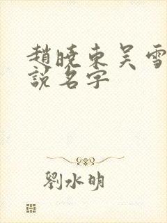 赵晓东吴雪晴小说名字