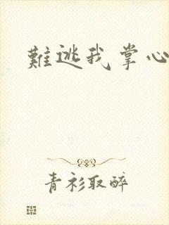 难逃我掌心封面