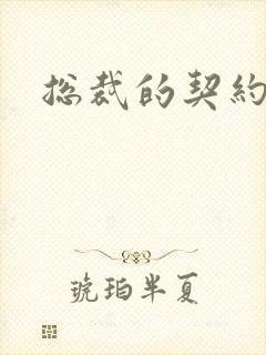 总裁的契约情人
