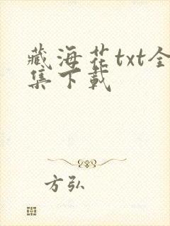 藏海花txt全集下载