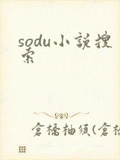 sodu小说搜索