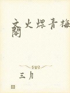 文火煨青梅笔趣阁