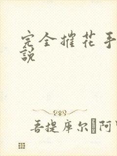 完全摧花手册小说