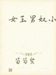 女王男奴小说封面