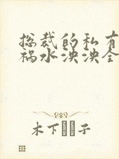 总裁的私有宝贝祸水泱泱全文阅读