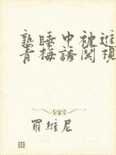 熟睡中被进了H青梅诱哄视频