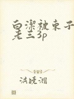 白洁被东子老二老三3p