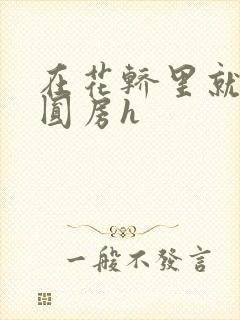 在花轿里就开始圆房h