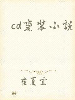 cd变装小说封面