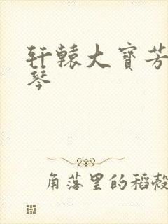 轩辕大宝芳菲雅琴