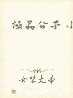 极品公子 小说