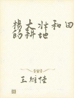 杨大壮和田桂花的耕地